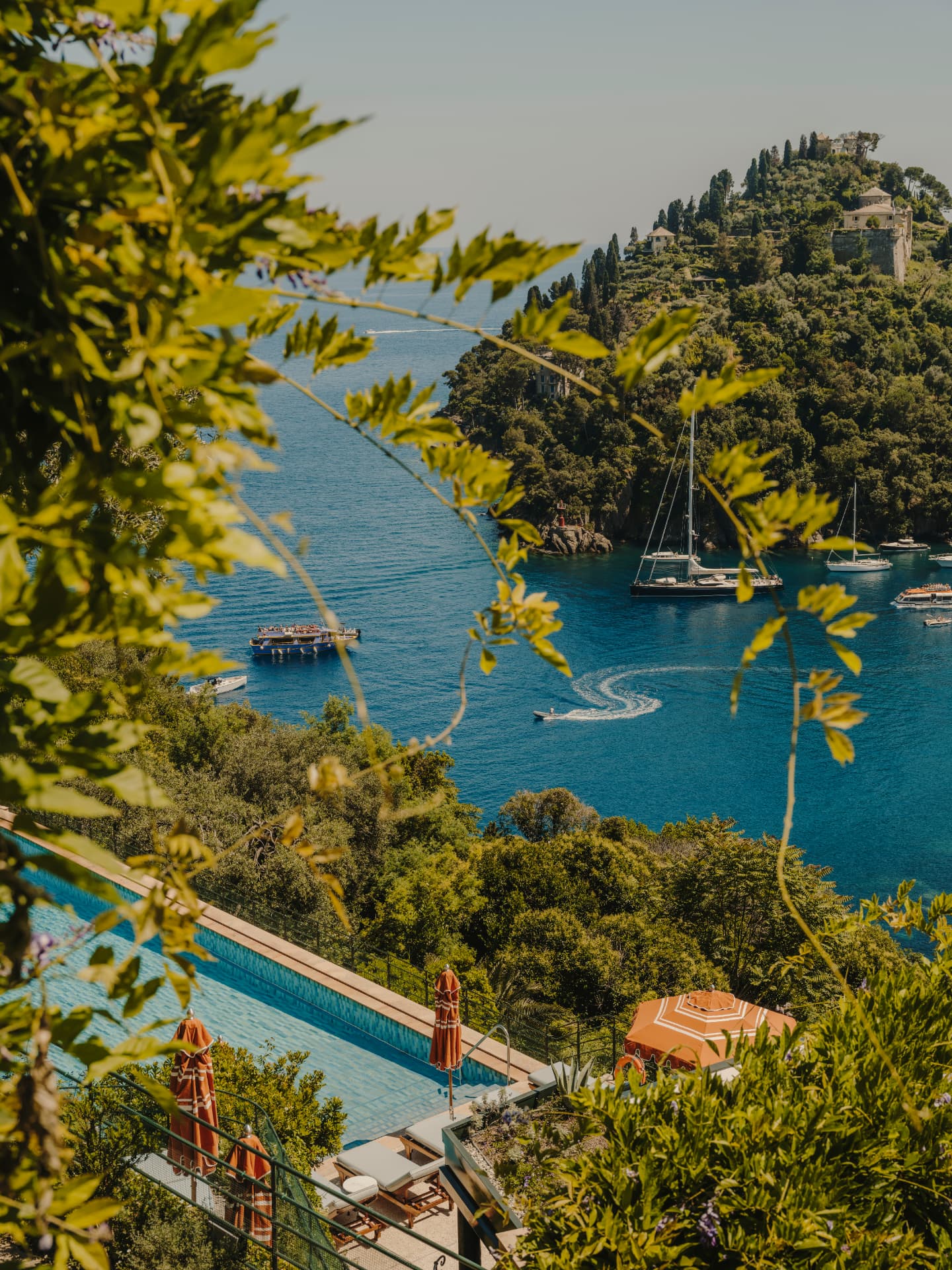 Pool des Splendido über der Bucht von Portofino, gerahmt von blühender Glyzinie im Morgenlicht